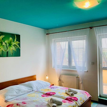 Apartmany, Penzion, Wellness U Zlate Rybky Vyskov Exterior photo