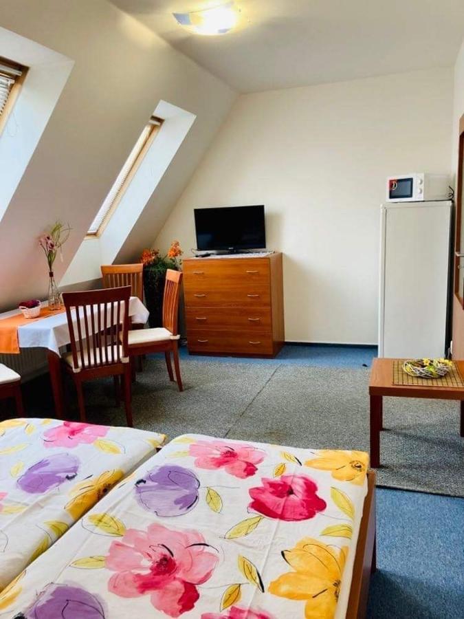 Apartmany, Penzion, Wellness U Zlate Rybky Vyskov Exterior photo