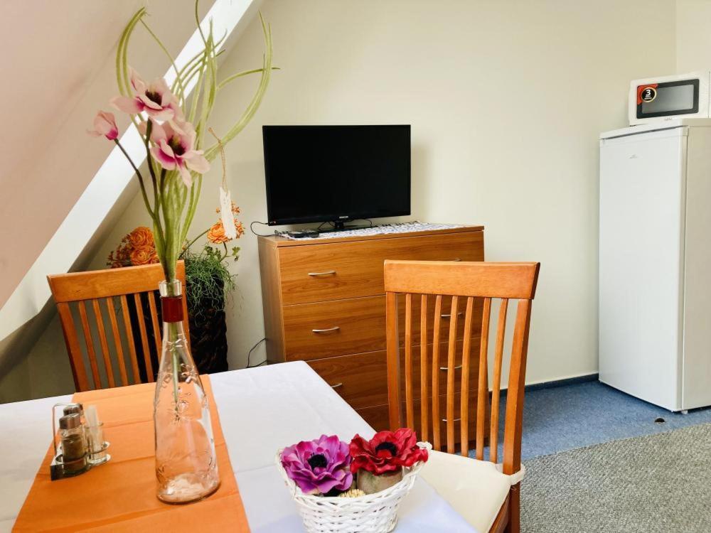Apartmany, Penzion, Wellness U Zlate Rybky Vyskov Exterior photo