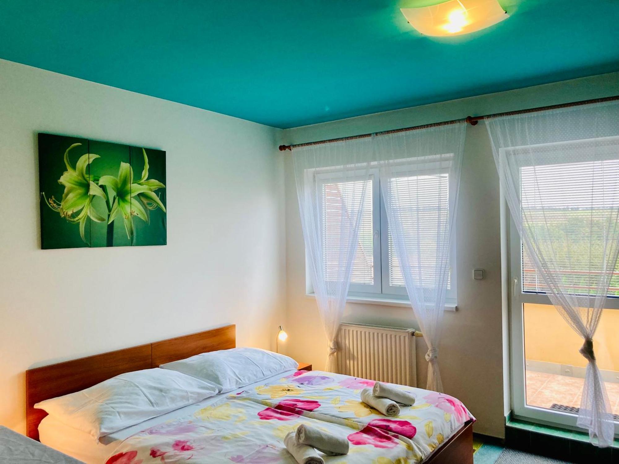 Apartmany, Penzion, Wellness U Zlate Rybky Vyskov Exterior photo